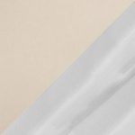 Fran Chrome and Cream Velvet Contemporary Accent Chairs (Set of 2) 24 Fran Chrome and Cream Velvet Contemporary Accent Chairs (Set of 2)