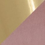 Fran Gold and Blush Velvet Contemporary Dining Chairs (Set of 2) 20 Fran Gold and Blush Velvet Contemporary Dining Chairs (Set of 2)