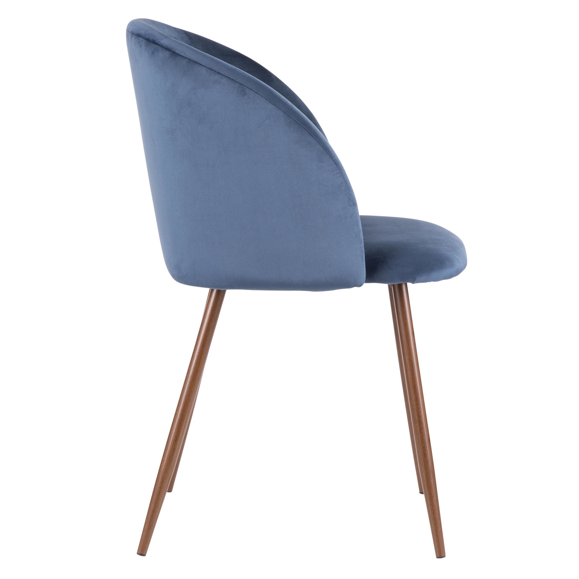Fran Walnut and Blue Velvet Contemporary Dining Chairs (Set of 2) 5 Fran Walnut and Blue Velvet Contemporary Dining Chairs (Set of 2) - Image 5