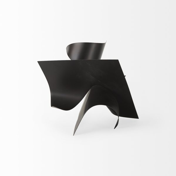Francesca 11.8L x 11.8W x 11.8H Black Metal Sculptural Decorative Object 2