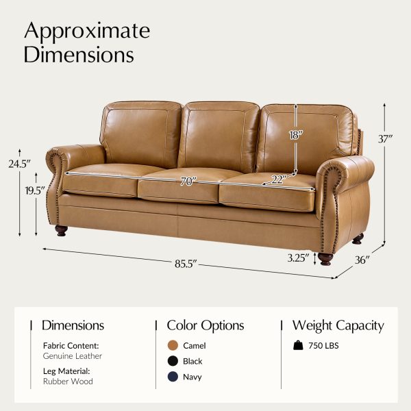 Gerardo Camel Leather Rolled Arm Nailhead Trim Sofa 4