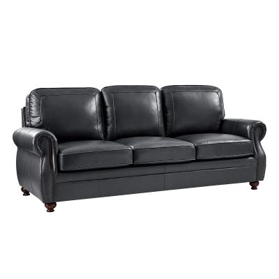 Gerardo Genuine Leather Rolled Arm Nailhead Trim Sofa