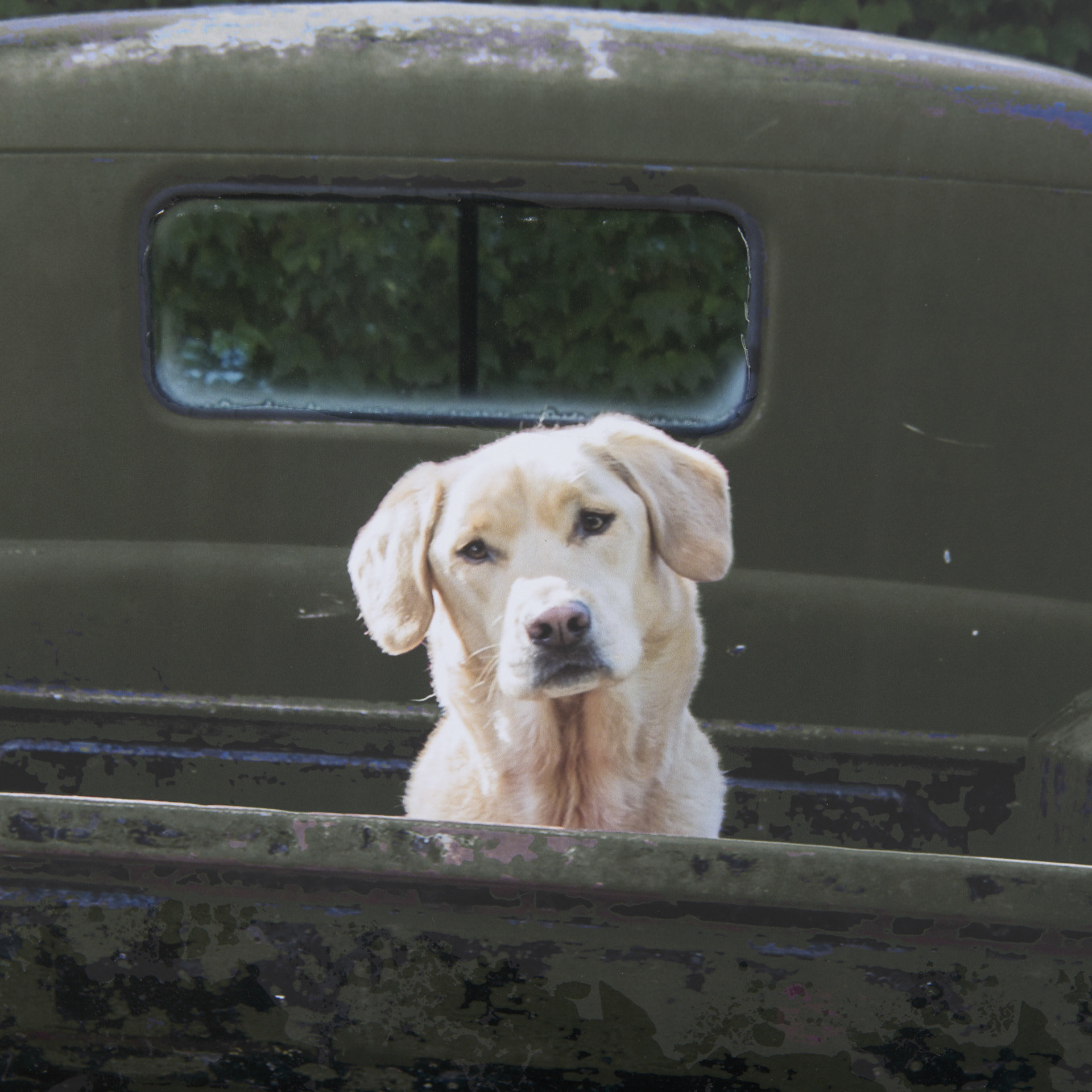 Get Out of Dodge Hunter Green by Mercana a Hand Embellished Framed Art Print Matted under Glass 8 Get Out of Dodge Hunter Green by Mercana a Hand Embellished Framed Art Print Matted under Glass - Image 8