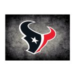 Houston Texans 4x6 Distressed Area Rug
