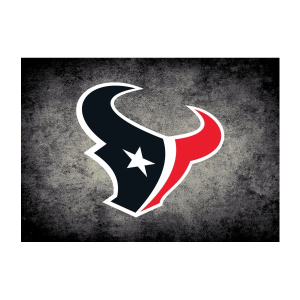 Houston Texans 4x6 Distressed Area Rug 2