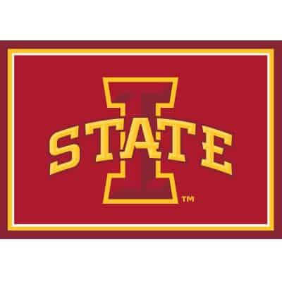 Iowa State University 3x4 Area Rug