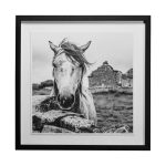 Ireland Black & White by Arabella Studios a Framed Art Print Matted under Glass 5 Ireland Black & White by Arabella Studios a Framed Art Print Matted under Glass