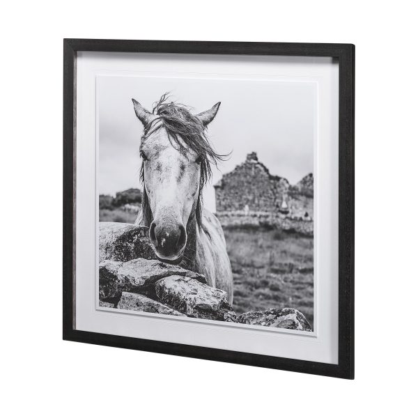 Ireland Black White by Arabella Studios a Framed Art Print Matted under Glass 2