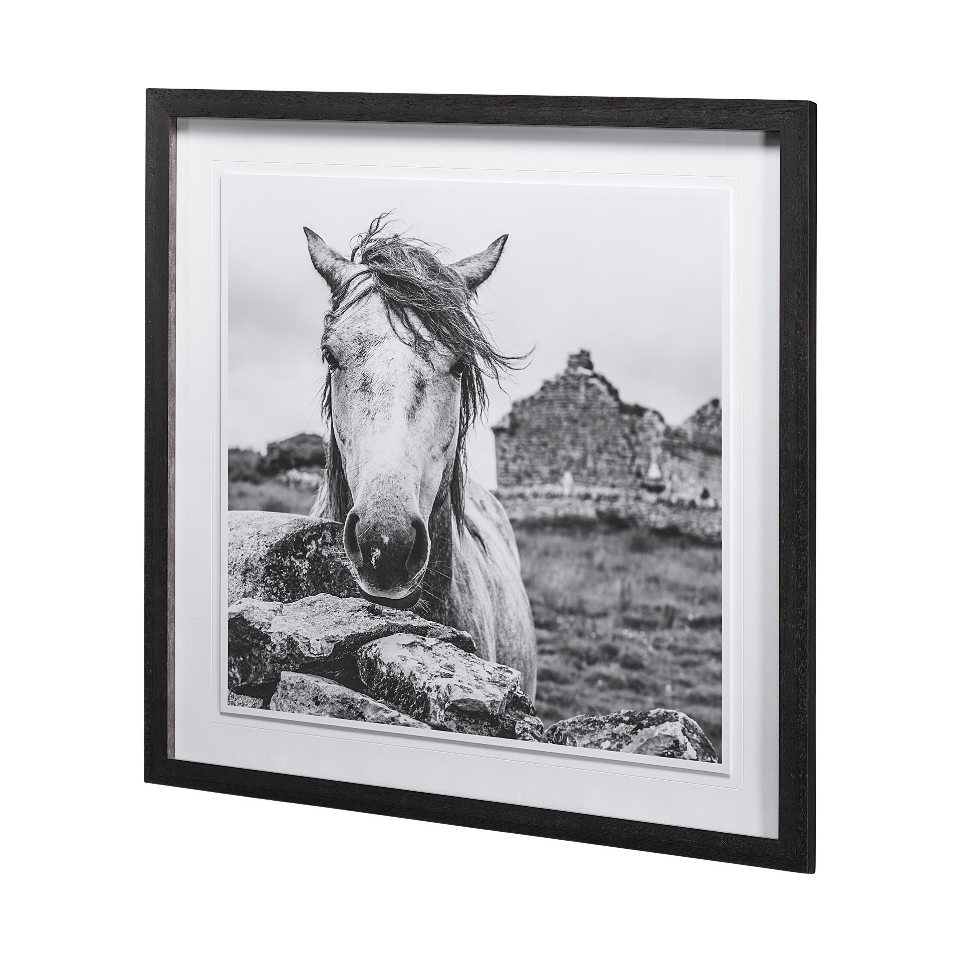 Ireland Black & White by Arabella Studios a Framed Art Print Matted under Glass 3 Ireland Black & White by Arabella Studios a Framed Art Print Matted under Glass - Image 3