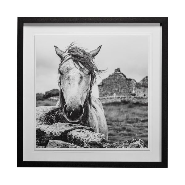 Ireland Black White by Arabella Studios a Framed Art Print Matted under Glass
