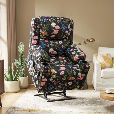 Joachim Dual Motor Lift Assist Massage Heat Recliner