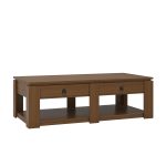 Jorge Walnut Farmhouse Modern 4-Drawer Coffee Table