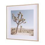 Joshua Tree 1 by THE Studio a Framed Art Print Matted under Glass