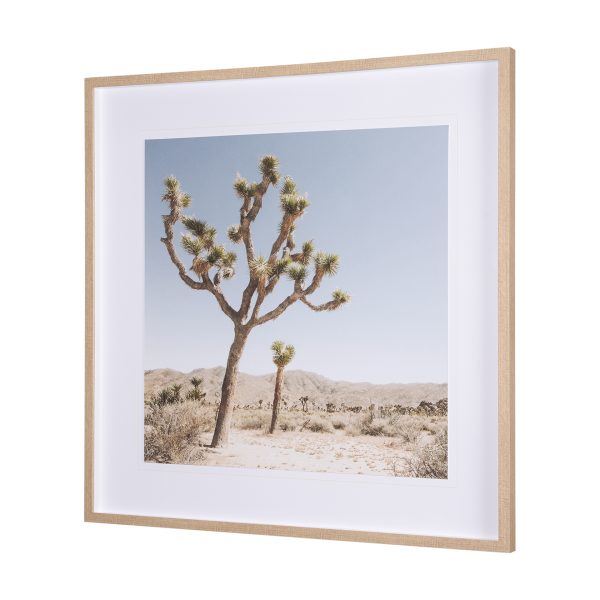 Joshua Tree 1 by THE Studio a Framed Art Print Matted under Glass 3