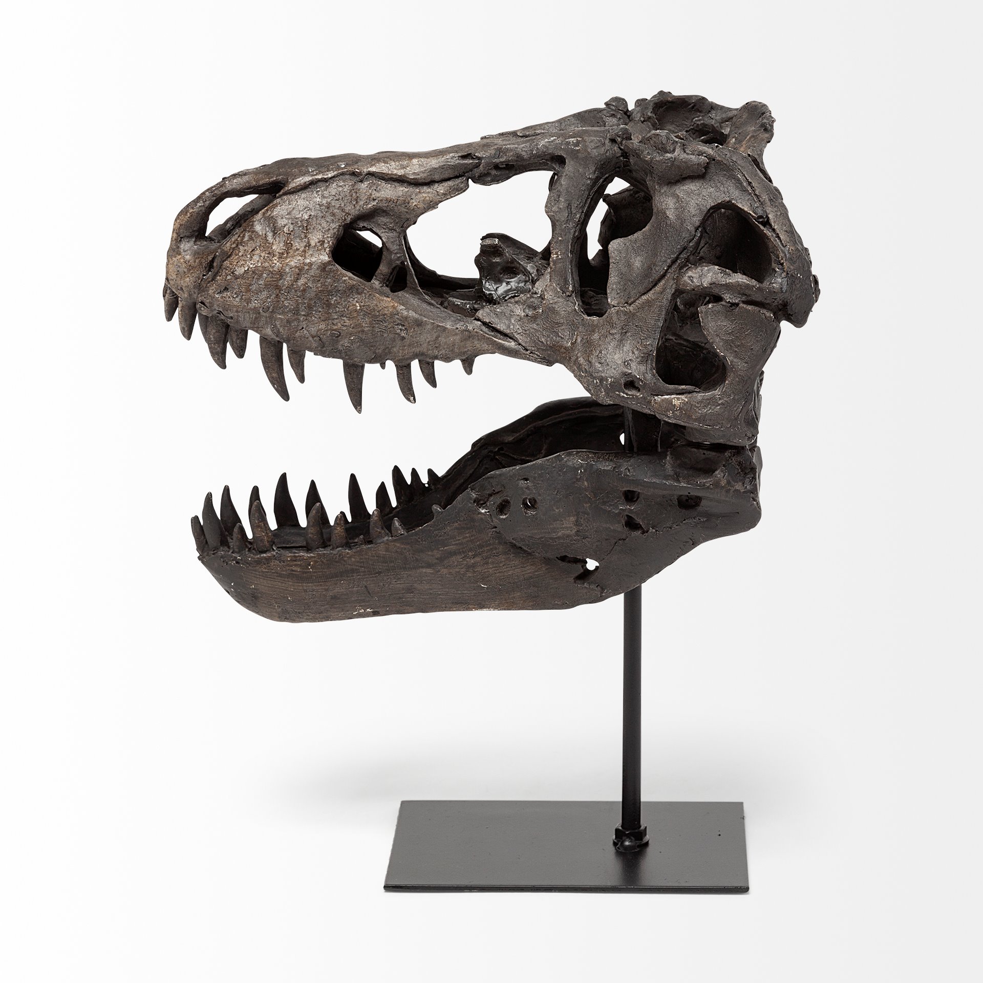 Jurassic 6L x 10W Brown Resin Tyrannosaurus Skull Replica 4 Jurassic 6L x 10W Brown Resin Tyrannosaurus Skull Replica - Image 4