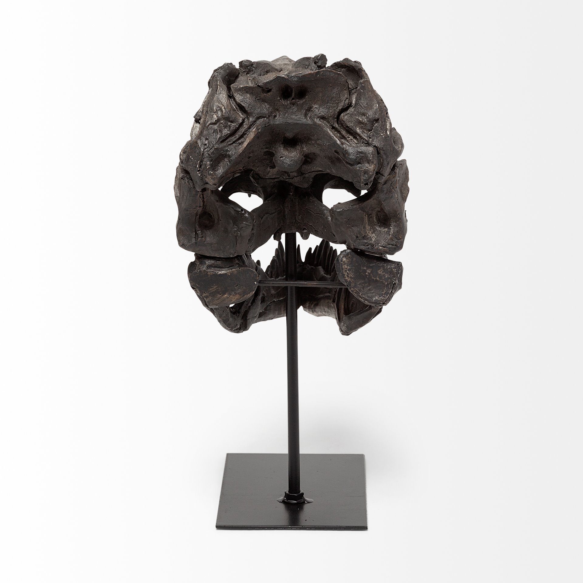 Jurassic 6L x 10W Brown Resin Tyrannosaurus Skull Replica 5 Jurassic 6L x 10W Brown Resin Tyrannosaurus Skull Replica - Image 5