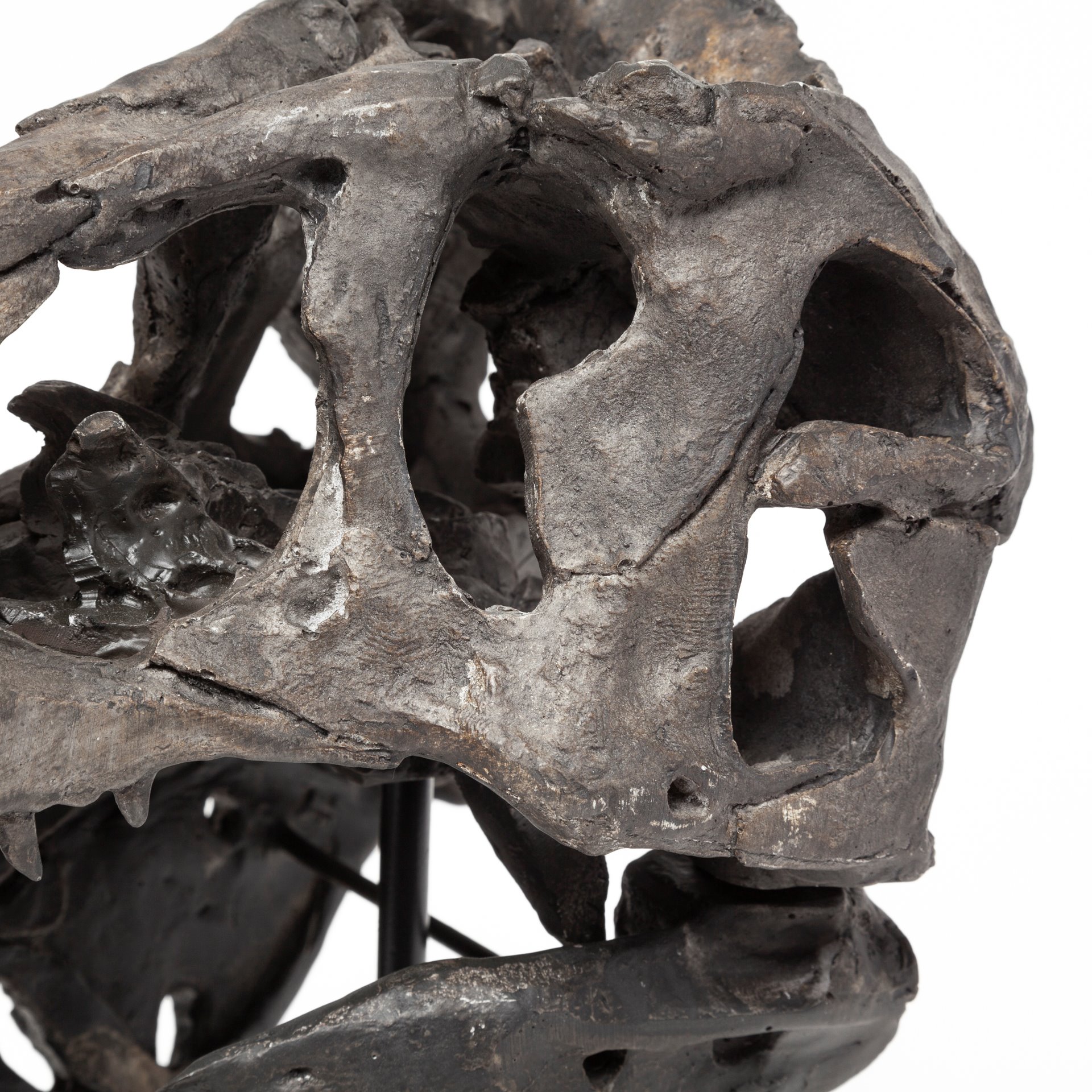 Jurassic 6L x 10W Brown Resin Tyrannosaurus Skull Replica 7 Jurassic 6L x 10W Brown Resin Tyrannosaurus Skull Replica - Image 7