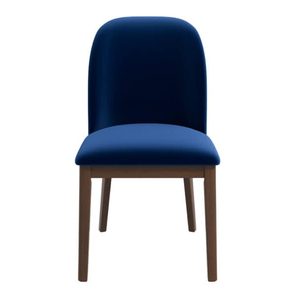 Blue Velvet Mid-Century Modern Dining Chairs (Set of 2)