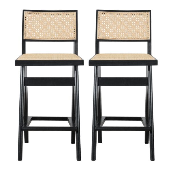 Natural Rattan Bar Stool with Full Back Design (Set of 2)