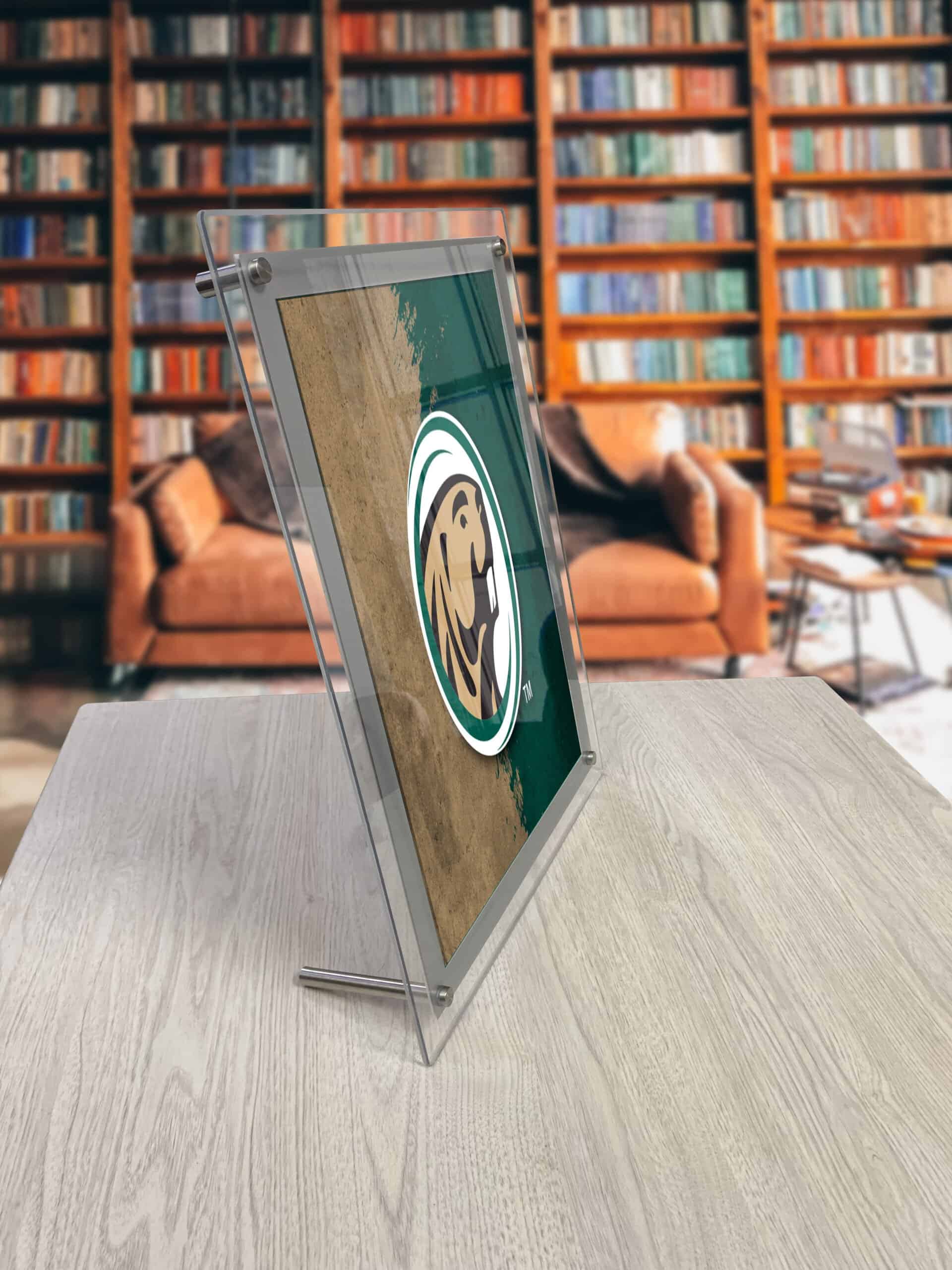 Bmidji State University LG Backlit LED Sign 8 Bmidji State University LG Backlit LED Sign