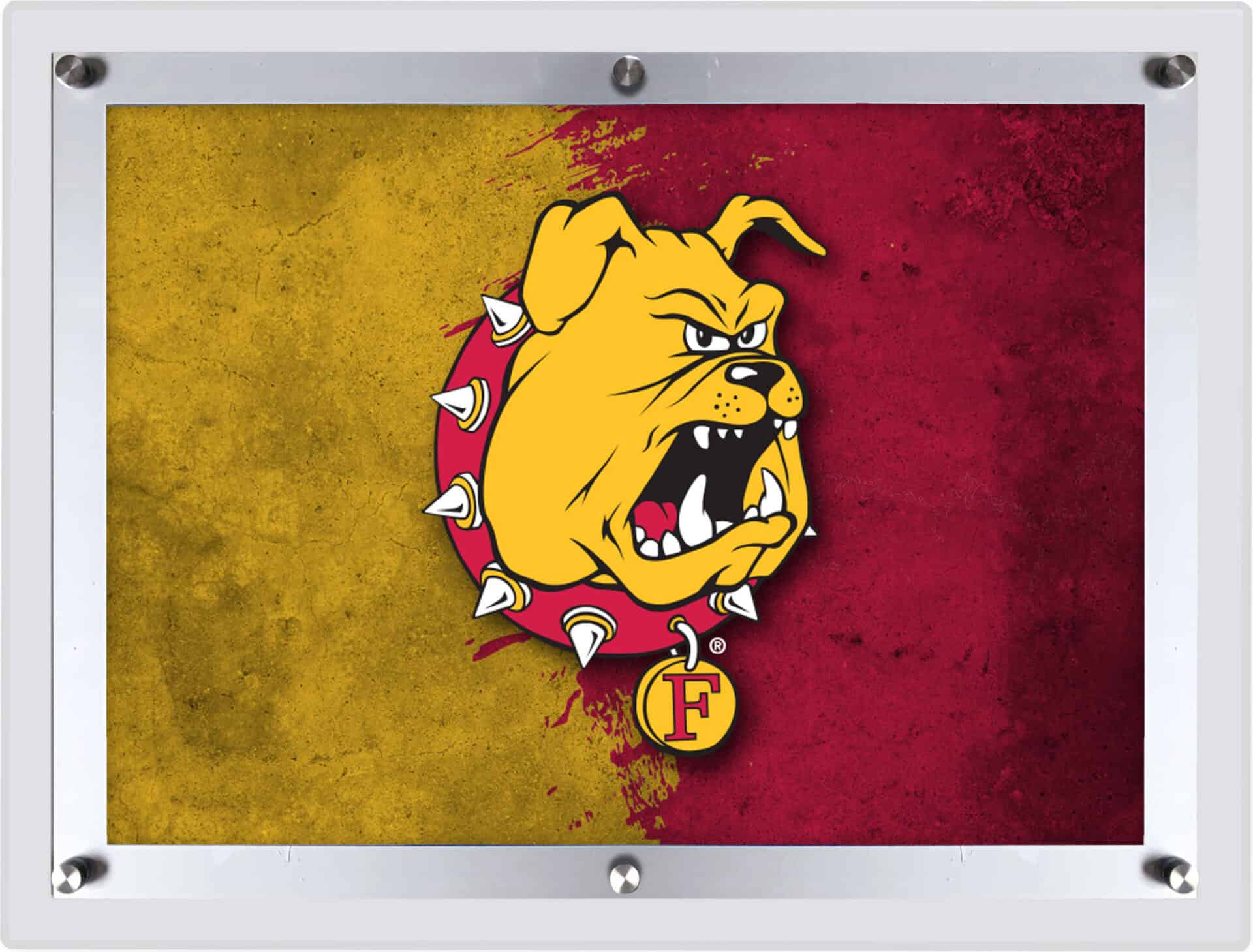 Ferris State University LG Backlit LED Sign 1 Ferris State University LG Backlit LED Sign
