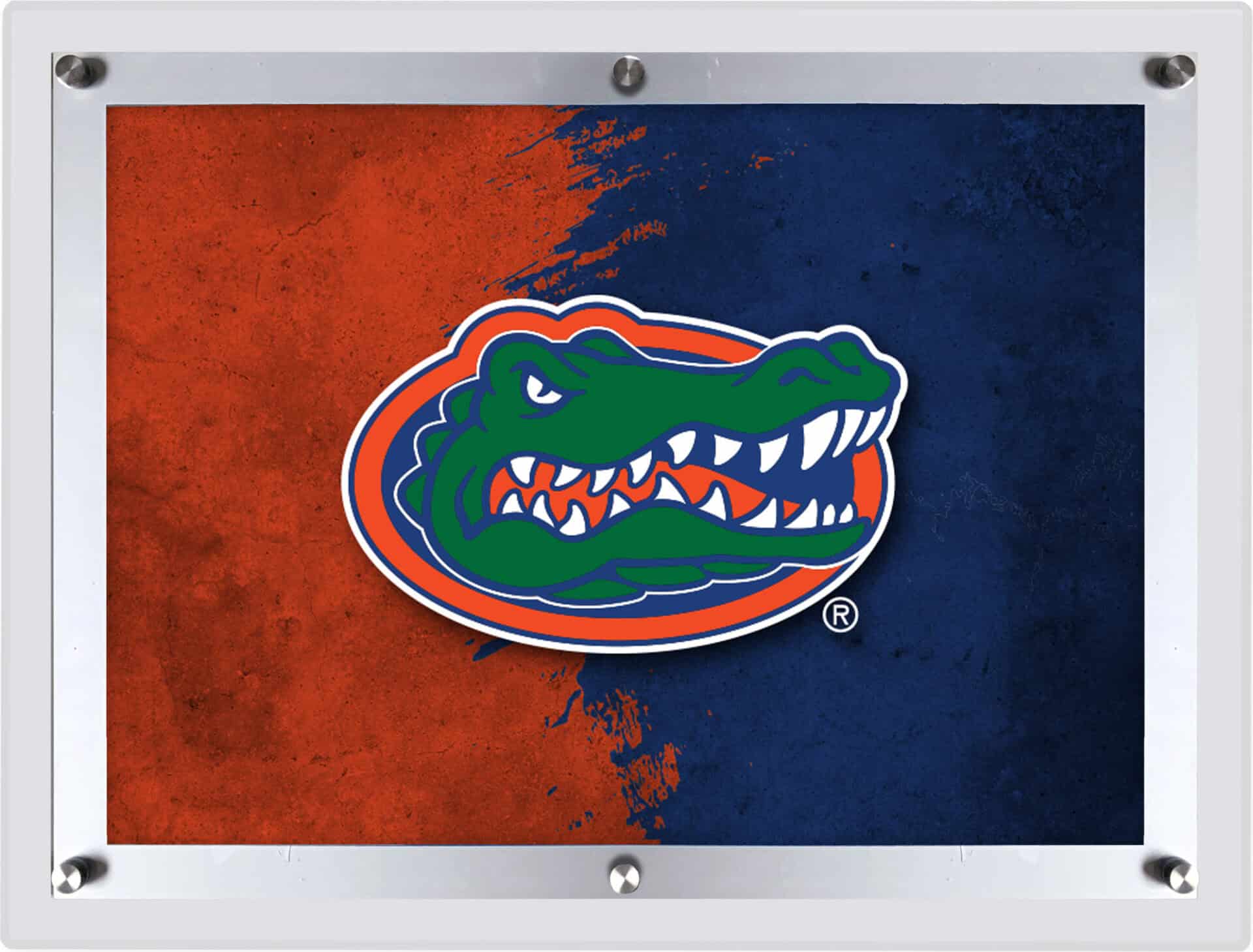 University of Florida LG Backlit LED Sign 1 University of Florida LG Backlit LED Sign