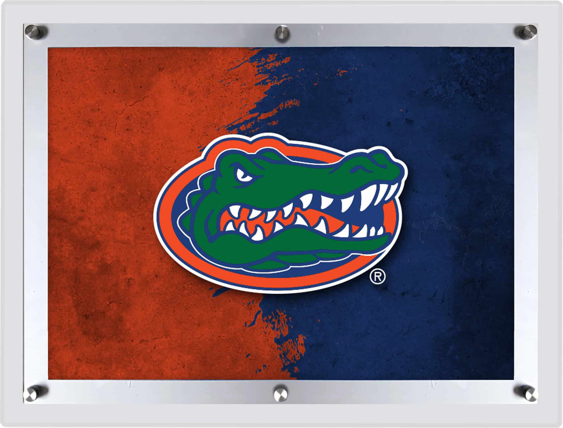 University of Florida LG Backlit LED Sign 5 University of Florida LG Backlit LED Sign