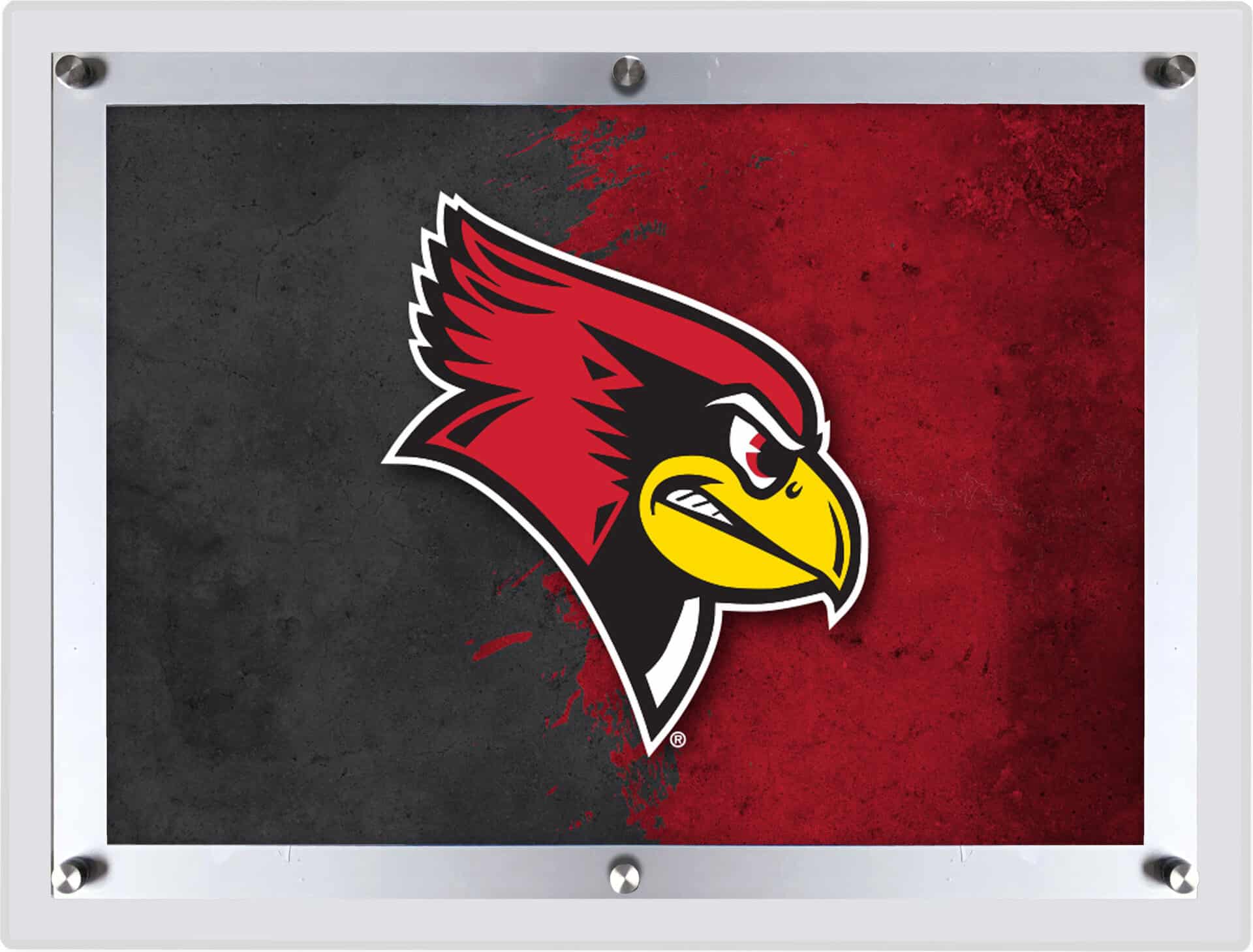 Illinois State University LG Backlit LED Sign 5 Illinois State University LG Backlit LED Sign