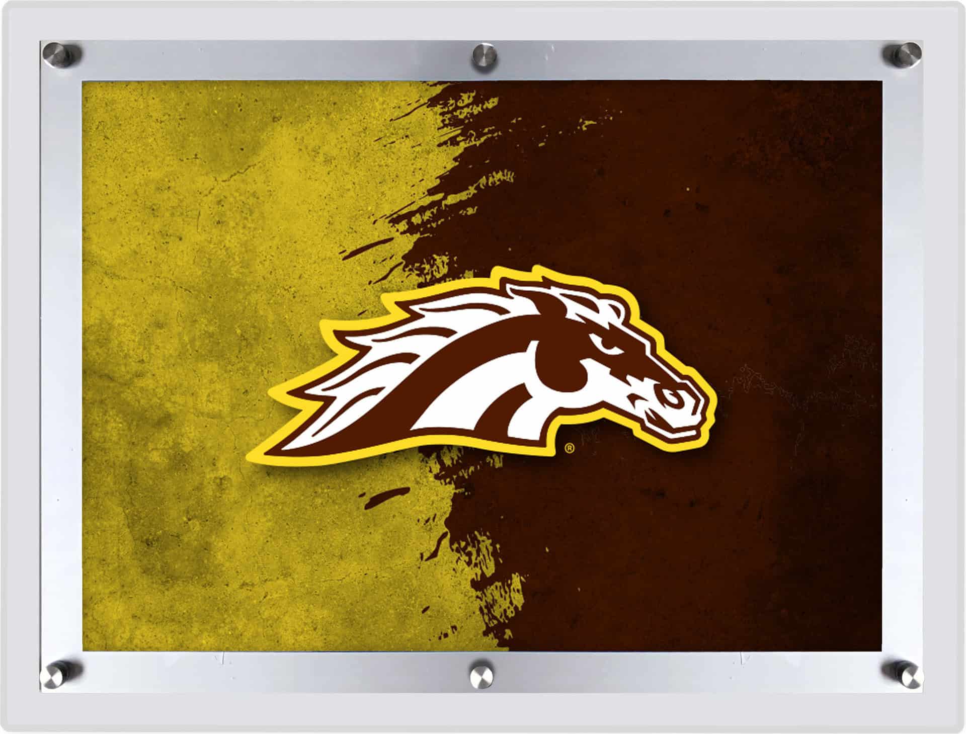 Western Michigan University LG Backlit LED Sign 5 Western Michigan University LG Backlit LED Sign