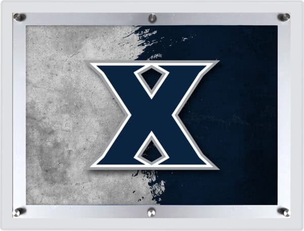 LBLedAXavier 2