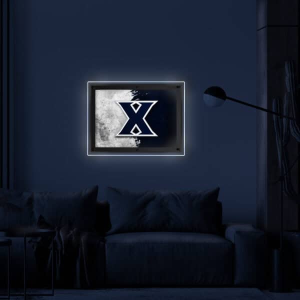 LBLedAXavier 4