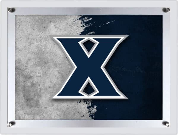 LBLedAXavier