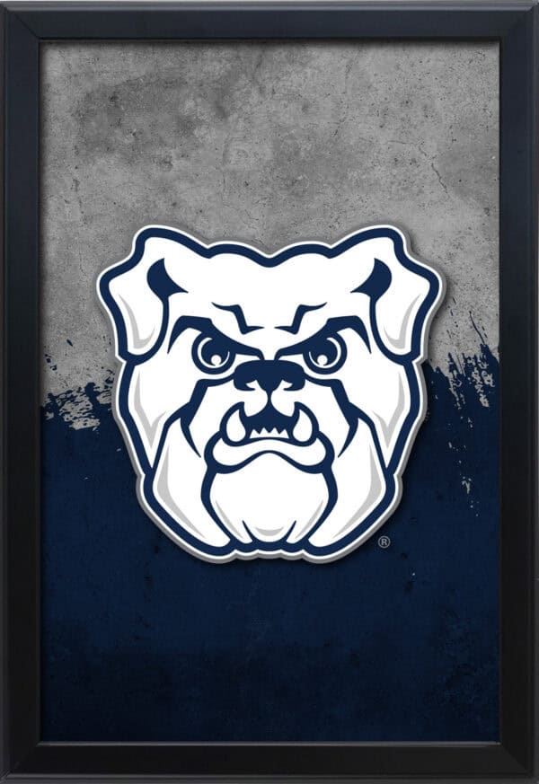 LBSnapButler