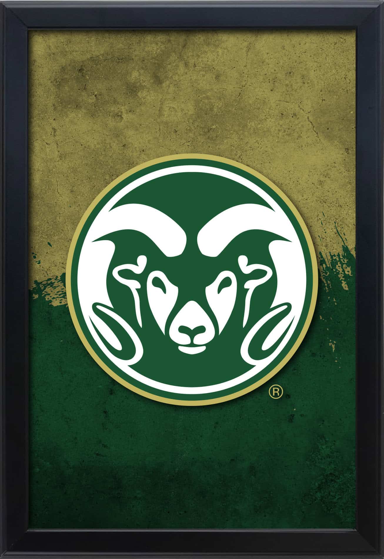 Colorado State University 16x24 Snapframe Lightbox 1 Colorado State University 16x24 Snapframe Lightbox