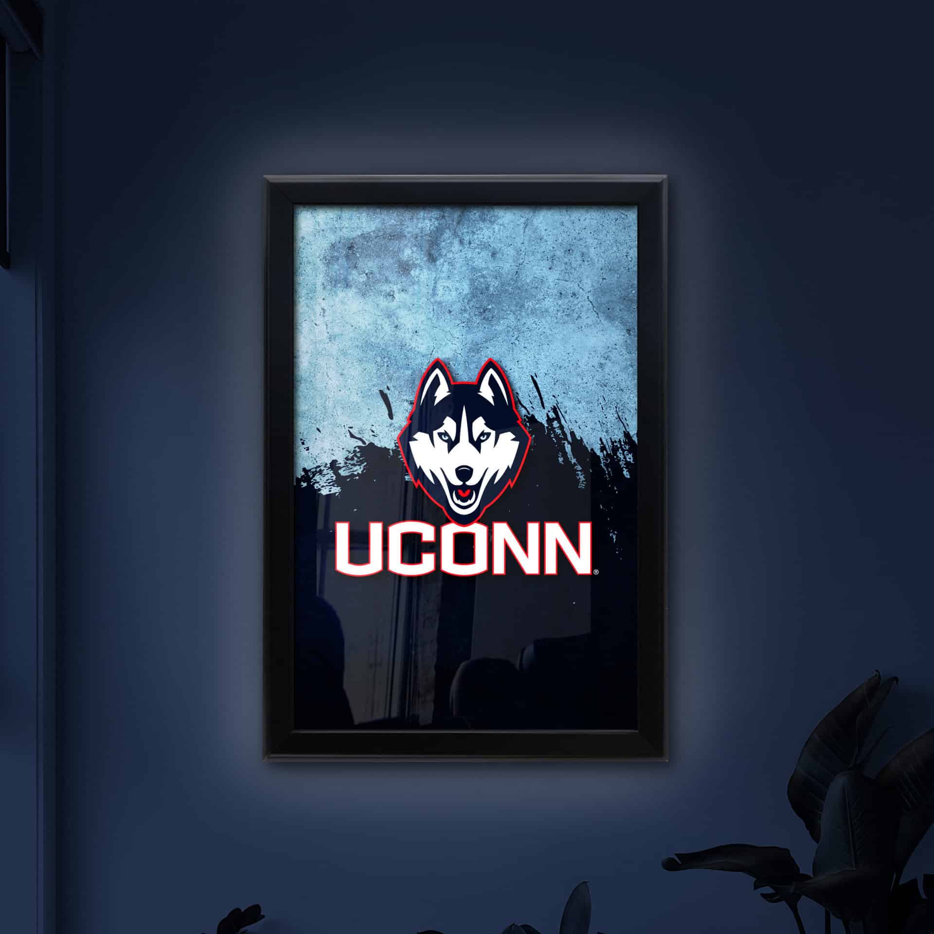 University of Connecticut 16x24 Snapframe Lightbox 8 University of Connecticut 16x24 Snapframe Lightbox