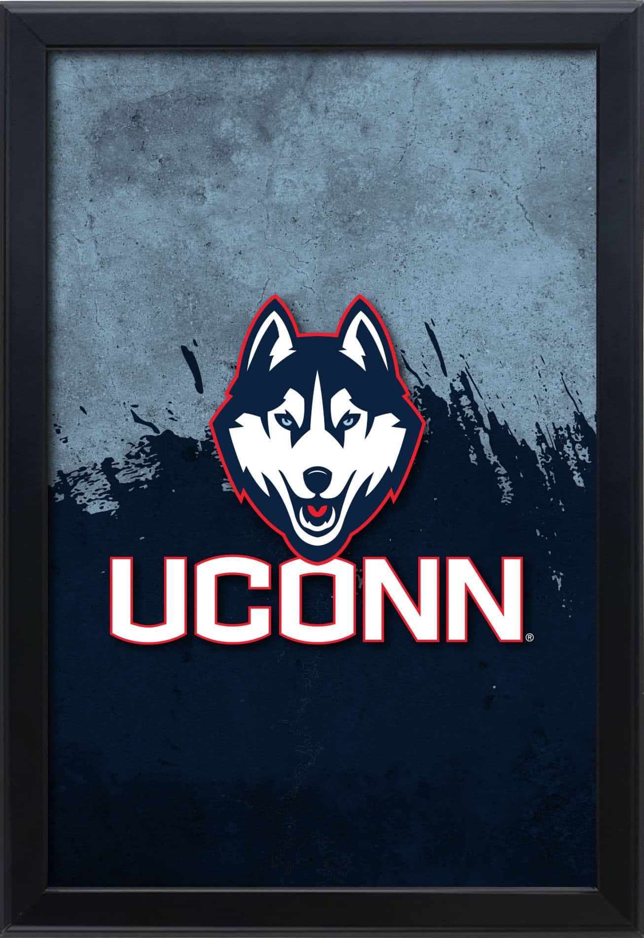 University of Connecticut 16x24 Snapframe Lightbox 1 University of Connecticut 16x24 Snapframe Lightbox