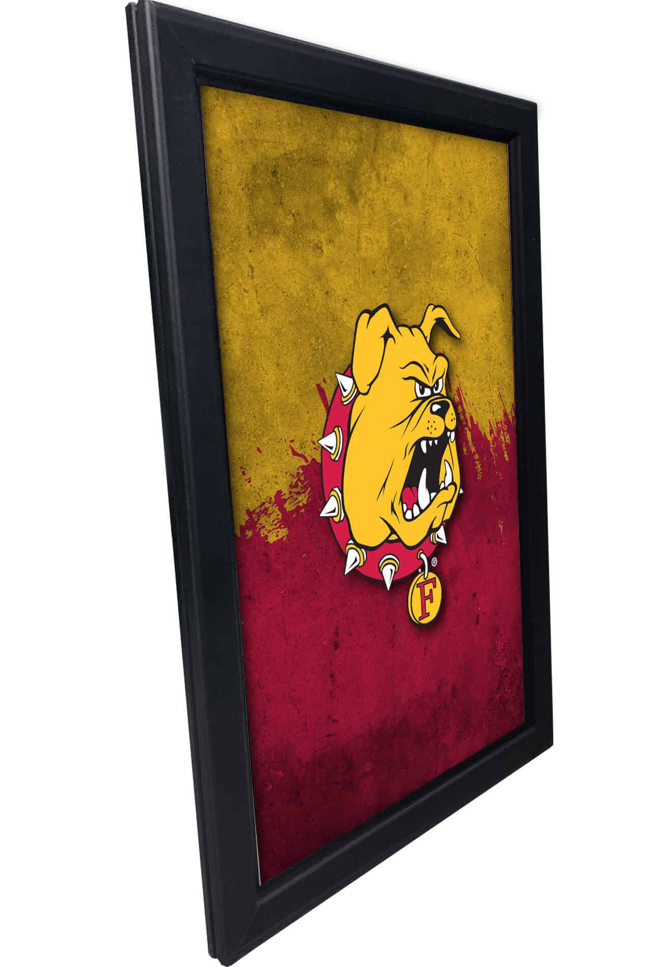 Ferris State University 16x24 Snapframe Lightbox 2 Ferris State University 16x24 Snapframe Lightbox - Image 2
