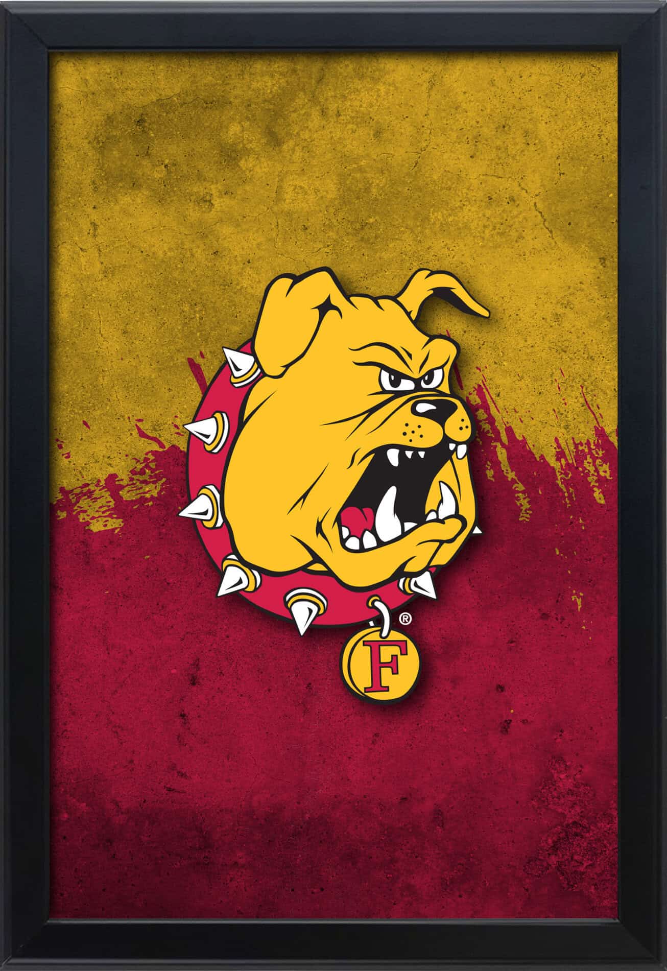 Ferris State University 16x24 Snapframe Lightbox 1 Ferris State University 16x24 Snapframe Lightbox
