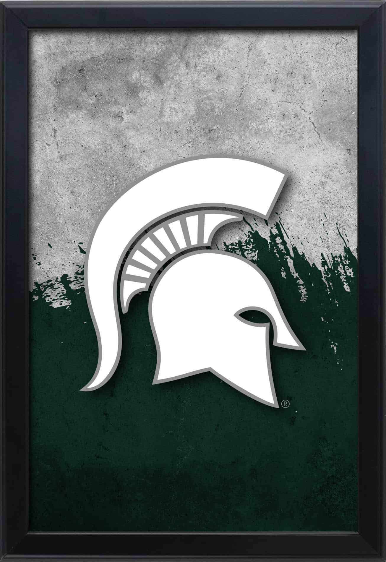 Michigan State University 16x24 Snapframe Lightbox 1 Michigan State University 16x24 Snapframe Lightbox