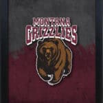 University of Montana 16x24 Snapframe Lightbox 5 University of Montana 16x24 Snapframe Lightbox