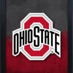 Ohio State University 16x24 Snapframe Lightbox