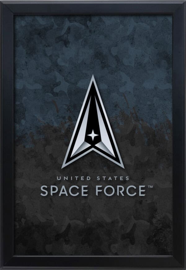 United States Space Force 16x24 Snapframe Lightbox
