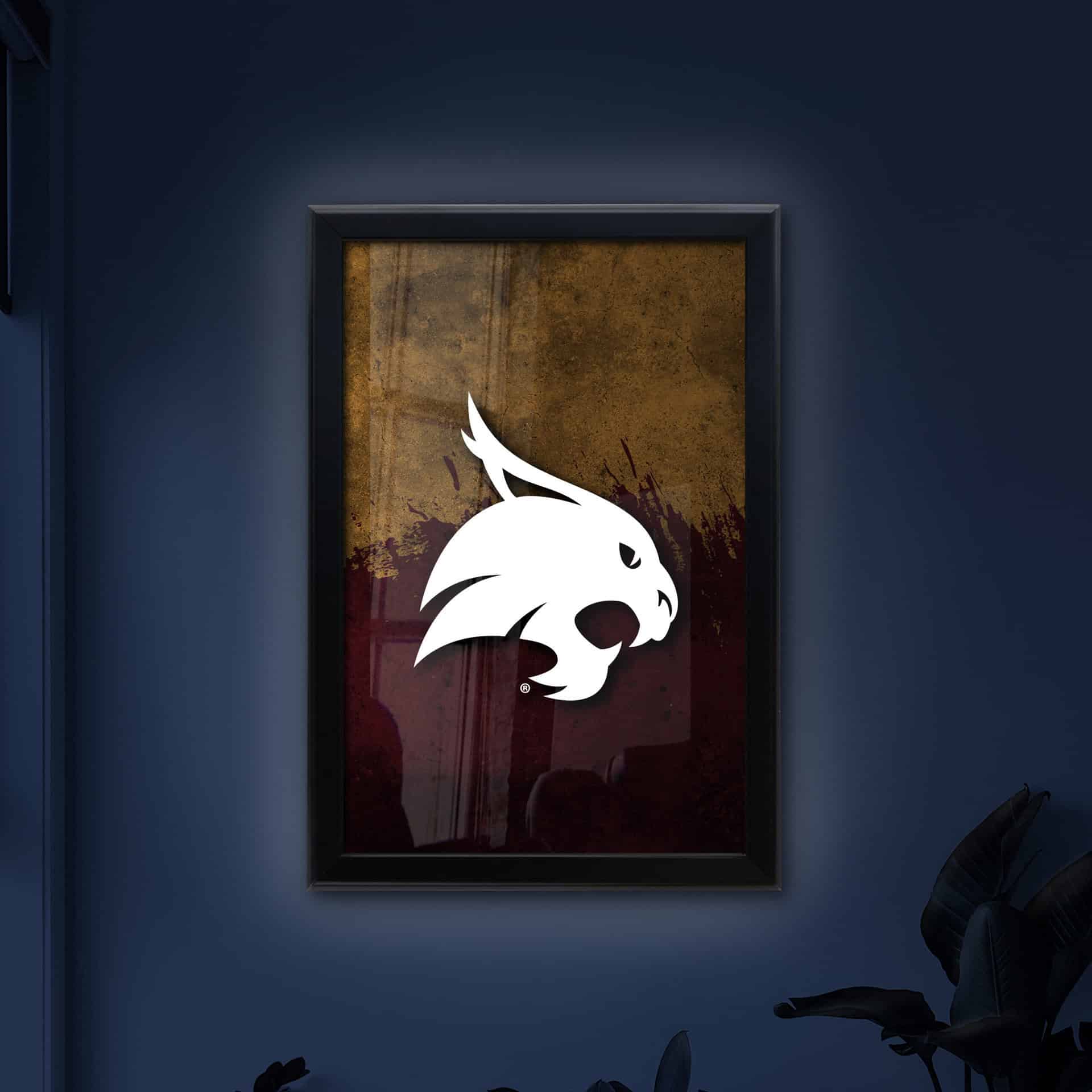 Texas State University 16x24 Snapframe Lightbox 8 Texas State University 16x24 Snapframe Lightbox