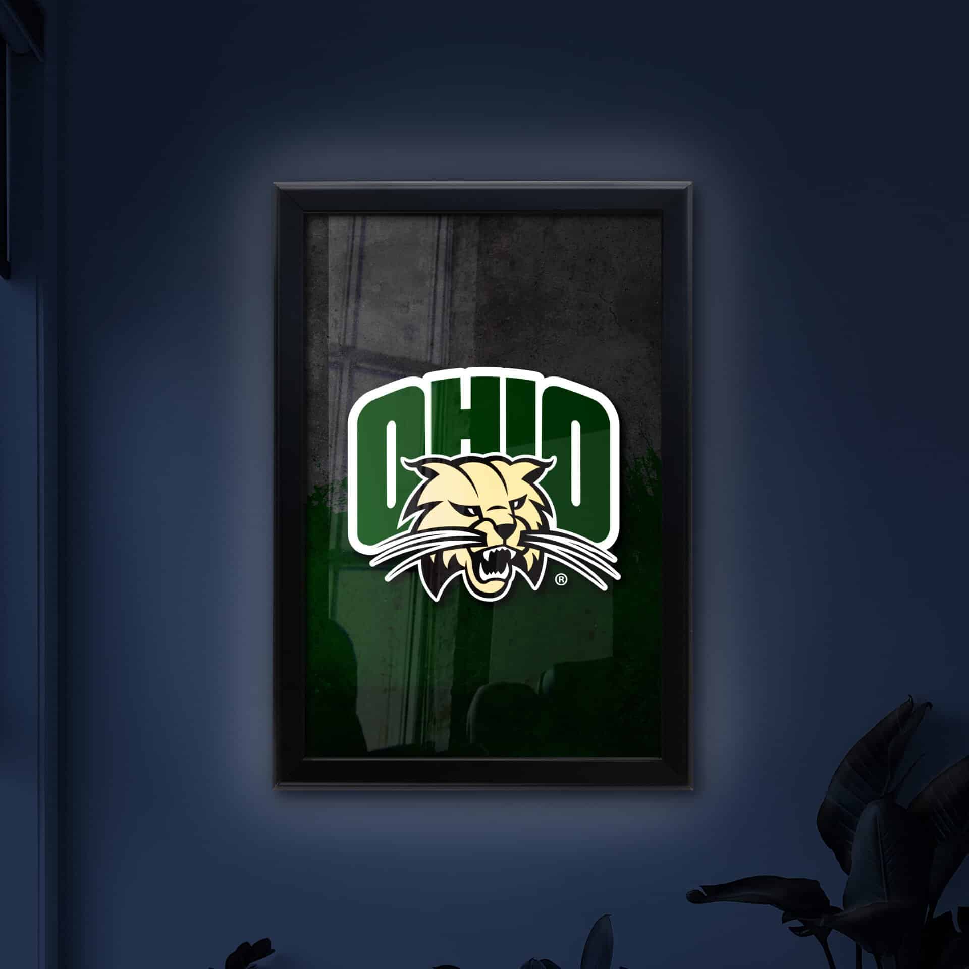 Ohio University 16x24 Snapframe Lightbox 4 Ohio University 16x24 Snapframe Lightbox - Image 4