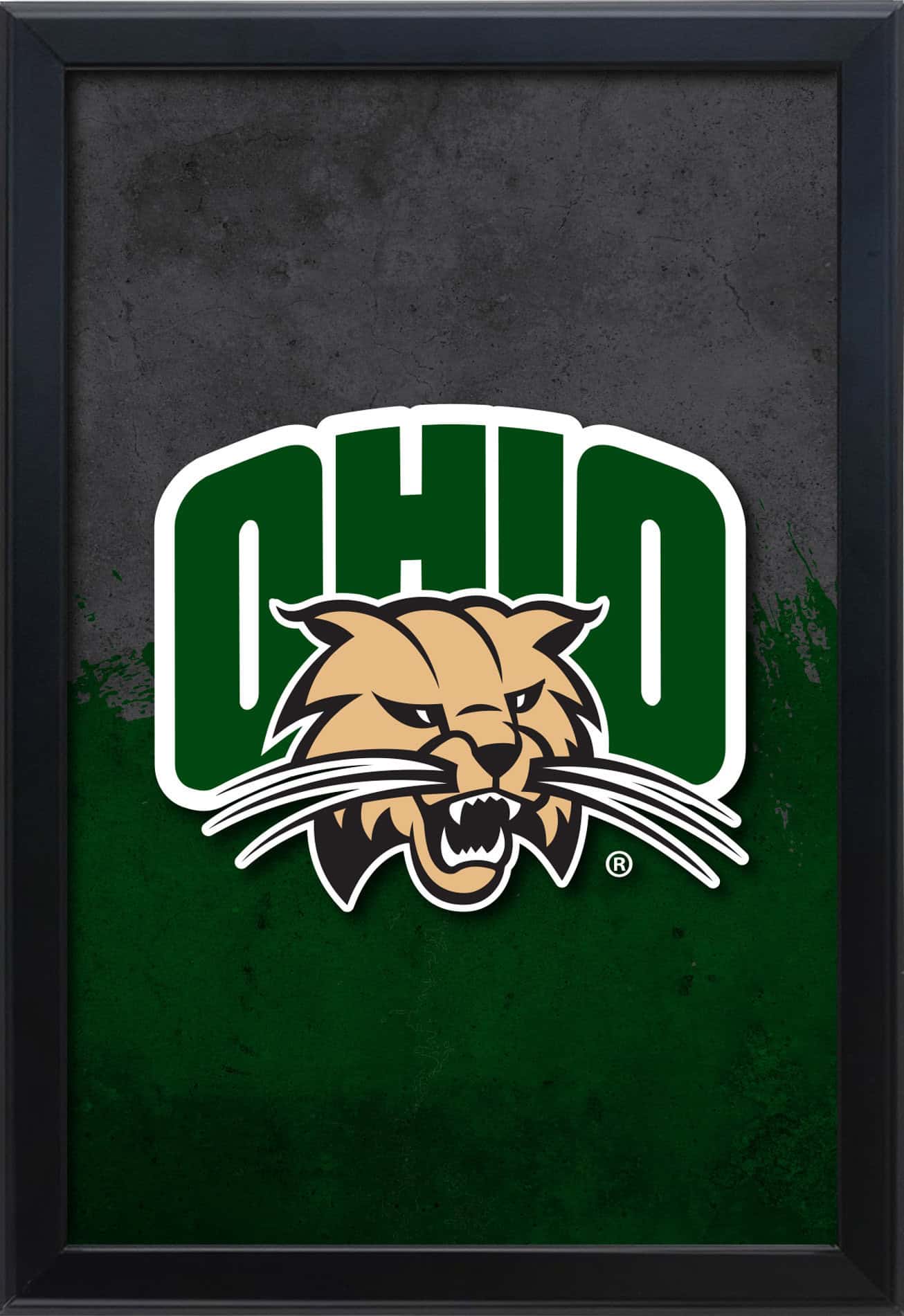 Ohio University 16x24 Snapframe Lightbox 1 Ohio University 16x24 Snapframe Lightbox
