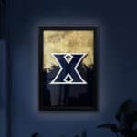Xavier 16x24 Snapframe Lightbox 8 Xavier 16x24 Snapframe Lightbox