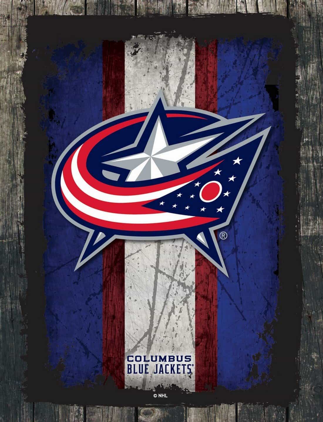 Columbus Blue Jackets 24x32 Logo Canvas Wall Art (Alternate) 1 Columbus Blue Jackets 24x32 Logo Canvas Wall Art (Alternate)