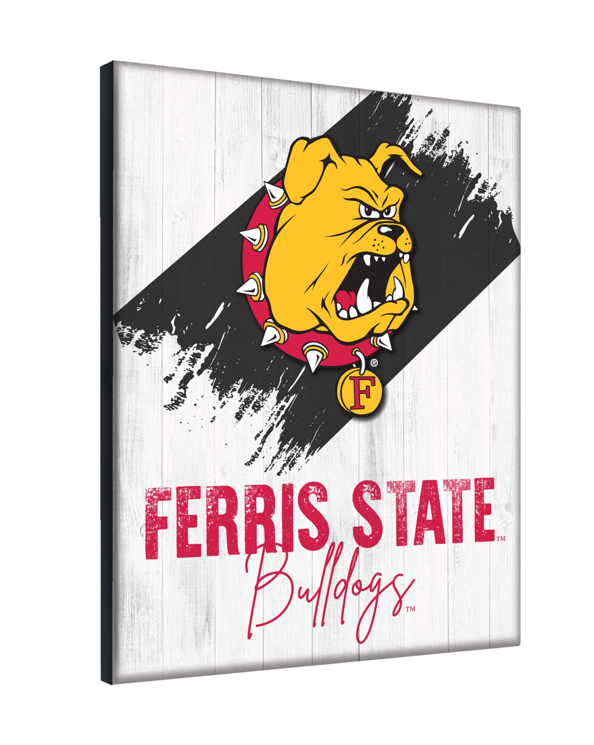Ferris State University 24x32 Logo Canvas Wall Art (Portrait) 4 Ferris State University 24x32 Logo Canvas Wall Art (Portrait)