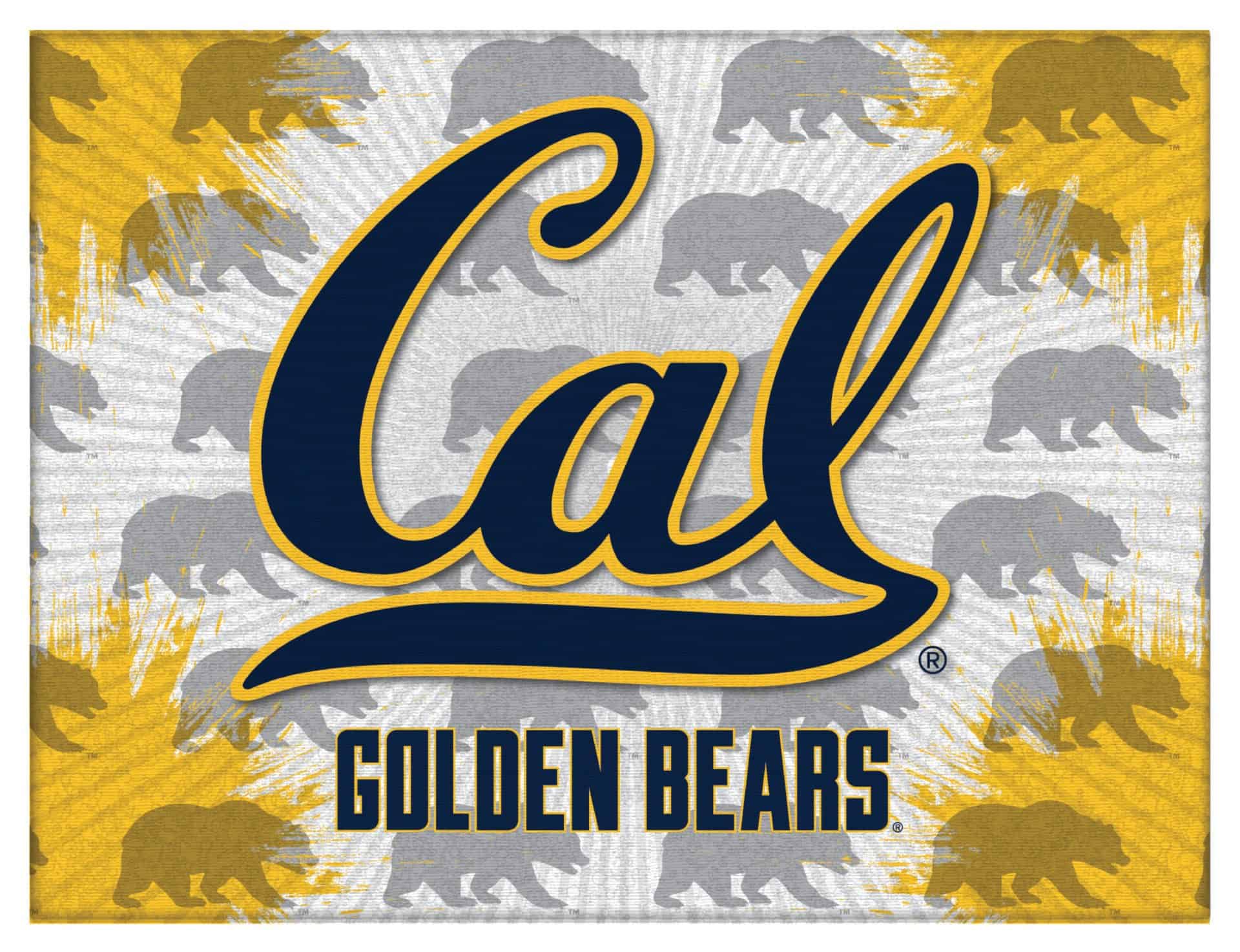 University of California 24x32 Logo Canvas Wall Art 1 University of California 24x32 Logo Canvas Wall Art