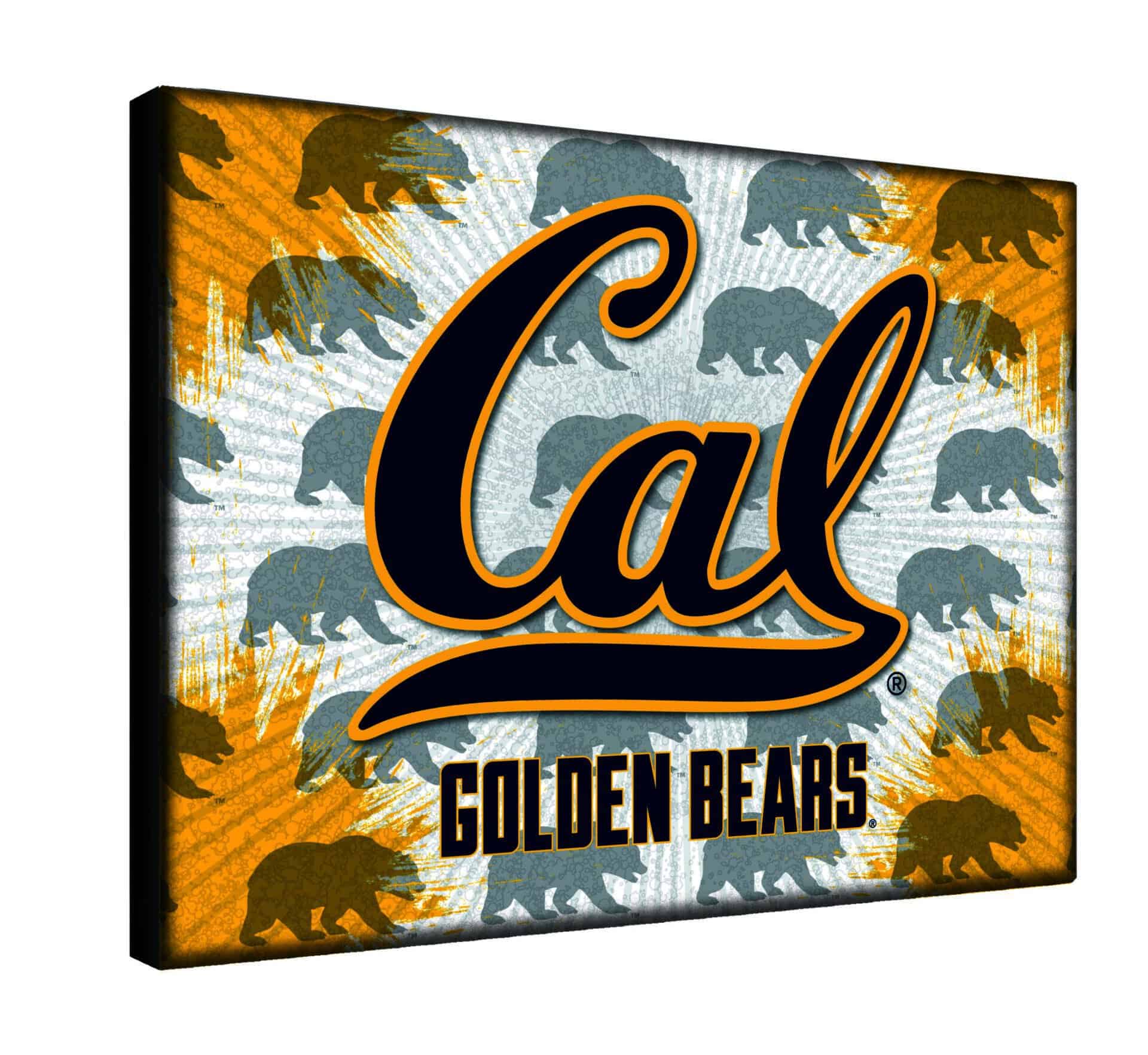 University of California 24x32 Logo Canvas Wall Art 2 University of California 24x32 Logo Canvas Wall Art - Image 2